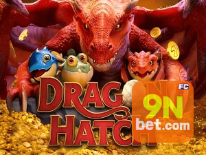 9NBET PIX instantâneo Brasil - Depósito e saque em minutos 24/7
